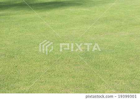 green grass field of sport playing area 19399301