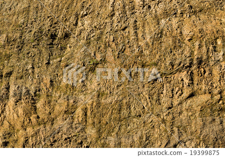 Clay Rock Walll 19399875