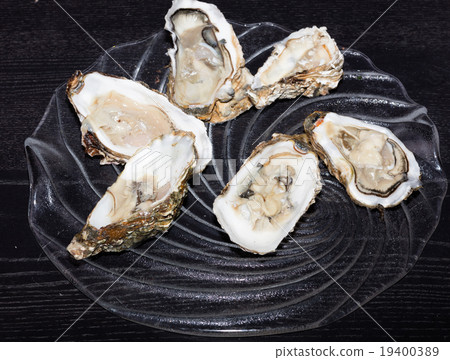 Oysters still life Oysters still life 19400389