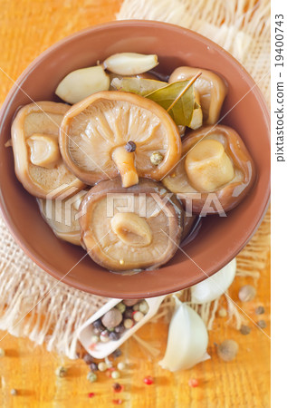 mushrooms mushrooms 19400743