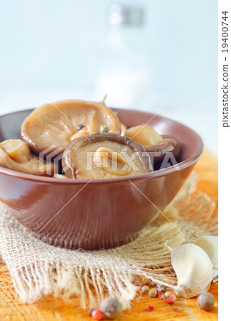mushrooms mushrooms 19400744