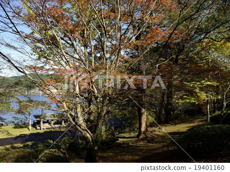 Komutadaike Nature Park of autumn leaves 19401160