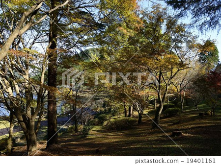 秋葉Komutadaike自然公園 19401161