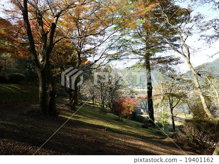 Komutadaike Nature Park of autumn leaves 19401162