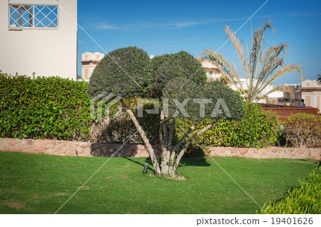 well-groomed park on vacation well-groomed park on vacation 19401626