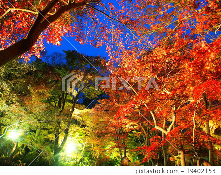 熱海Meizon Momiji節日 19402153