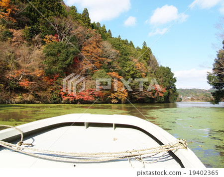 龜山湖 龜山湖 19402365