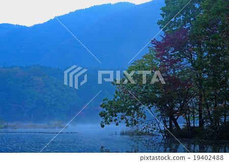 觀音沼澤 觀音沼澤 19402488