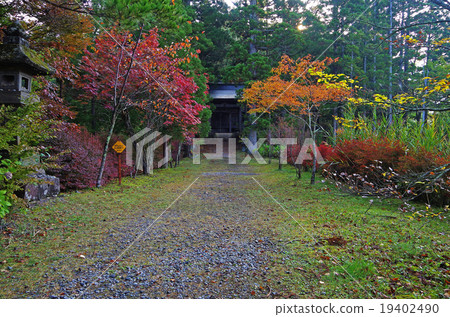 神社 神社 19402490