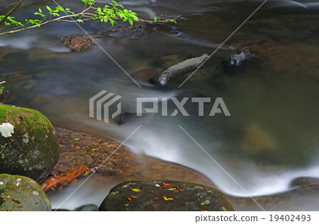 Nishinogo Promenade 19402493