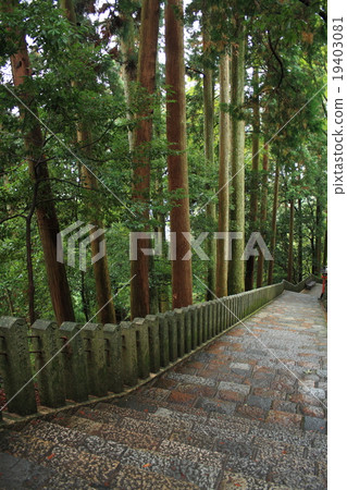 A little colored leaves at Kurama Temple 19403081