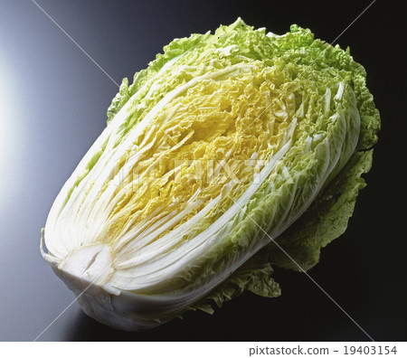 濃郁的大白菜 19403154