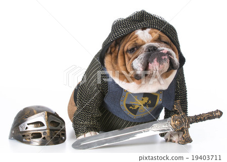 guard dog 19403711