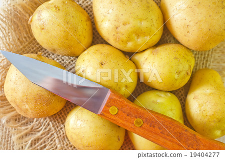 raw potato 19404277