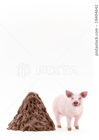 豬和它的豬樂趣堆：豬和它的糞便 19404642