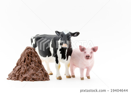 牲畜和牲畜的樂趣：牲畜的糞便 19404644