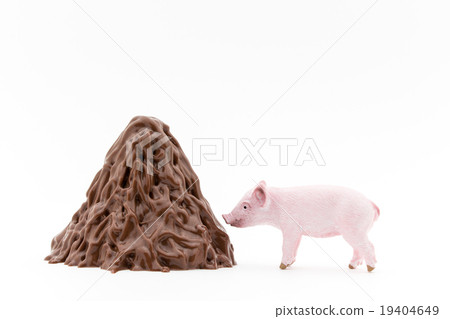 Piglet and its piglet Huang Hayate: Piglet and its feces 19404649