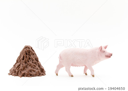 Female swine and female pig's Huang mountain ranges: Pig and its feces 19404650