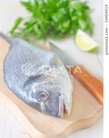 dorado fish dorado fish 19404914