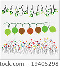 vector plant and flower isolated background 19405298