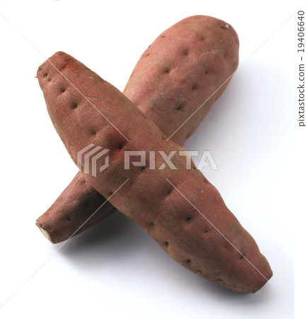 到處都是紅薯 19406640