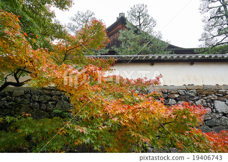 秋天的Kinya寺，Kyotanabe市，京都府 19406743