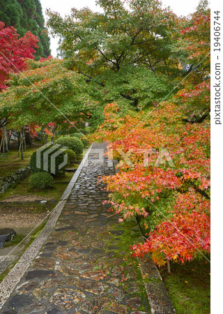 Autumn leaves covered with autumn leaves, Kensenan Ichinomiya, Kyotanabe-shi, Kyoto fu Autumn leaves covered with autumn leaves, Kensenan Ichinomiya, Kyotanabe-shi, Kyoto fu 19406744