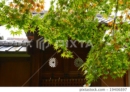 Mausoleum of the Mausoleum of Temple (a grave of a Zen master), Kaede in front, Konnenan Ichinomiya, Kyotanabe-shi, Kyoto fu Mausoleum of the Mausoleum of Temple (a grave of a Zen master), Kaede in front, Konnenan Ichinomiya, Kyotanabe-shi, Kyoto fu 19406897