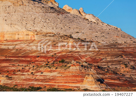 White pocket 19407227