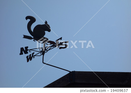 Squirrel weathercock Squirrel weathercock 19409637