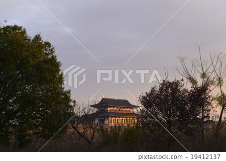 奈良縣平和宮/奈良市的黎明 19412137