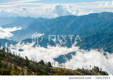 Some Trees on green slope in front of a big blue Some Trees on green slope in front of a big blue 19413955
