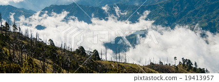 Some Trees on green slope in front of a big blue Some Trees on green slope in front of a big blue 19413957