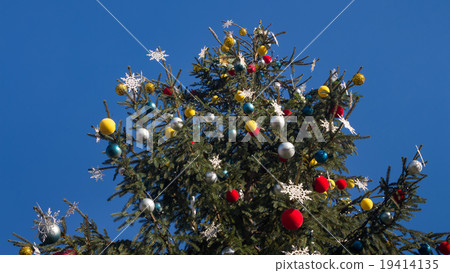 Christmas tree on blue sky background 19414135
