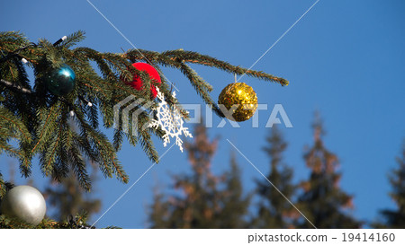 Christmas tree on blue sky background Christmas tree on blue sky background 19414160