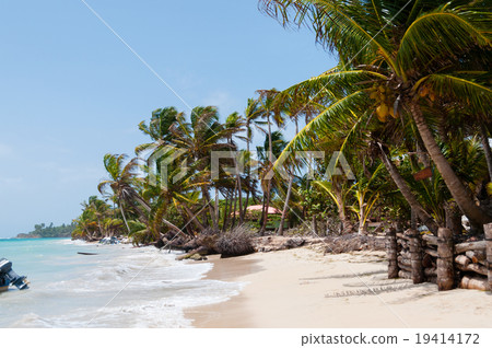 Palm Trees in the wind on white sand beach coast 19414172