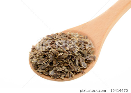 Dil Seed 19414470