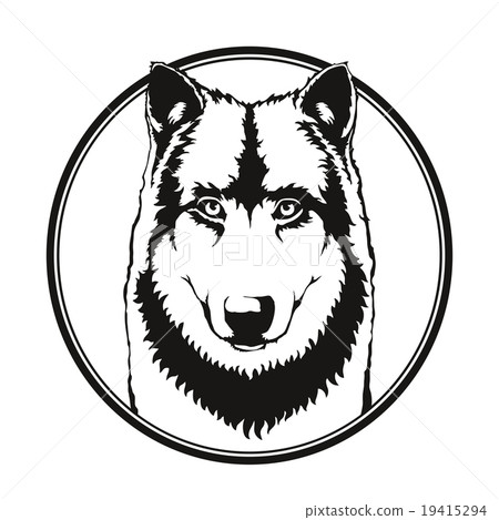 Wolf in the circle Wolf in the circle 19415294