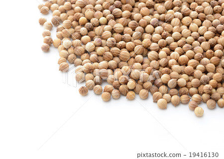 Coriander seed 19416130