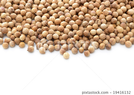 Coriander seed 19416132