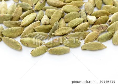 cardamom cardamom 19416135