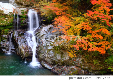 The torrential fall and autumn leaves 19417586