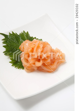 Squid Akaita 19420102