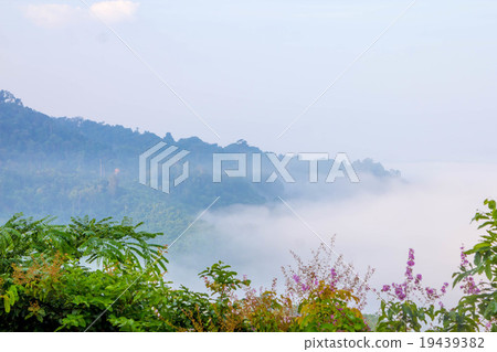 mountains in the mist mountains in the mist 19439382
