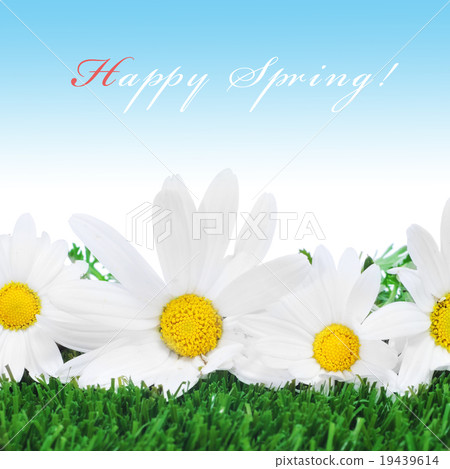 happy spring happy spring 19439614