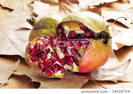 pomegranate fruits pomegranate fruits 19439754