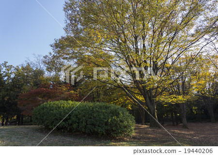 Hikarigaoka公園 19440206