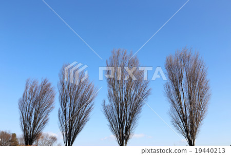 冬天的天空 冬天的天空 19440213