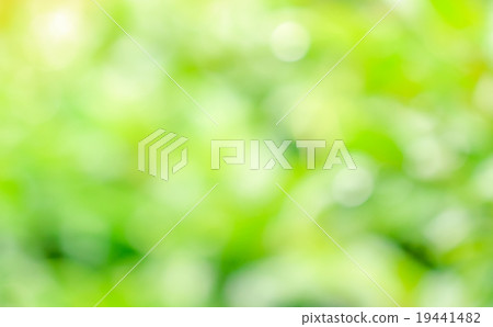 Abstract natural background 19441482