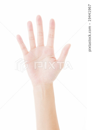 Body parts Young women hands 19441967